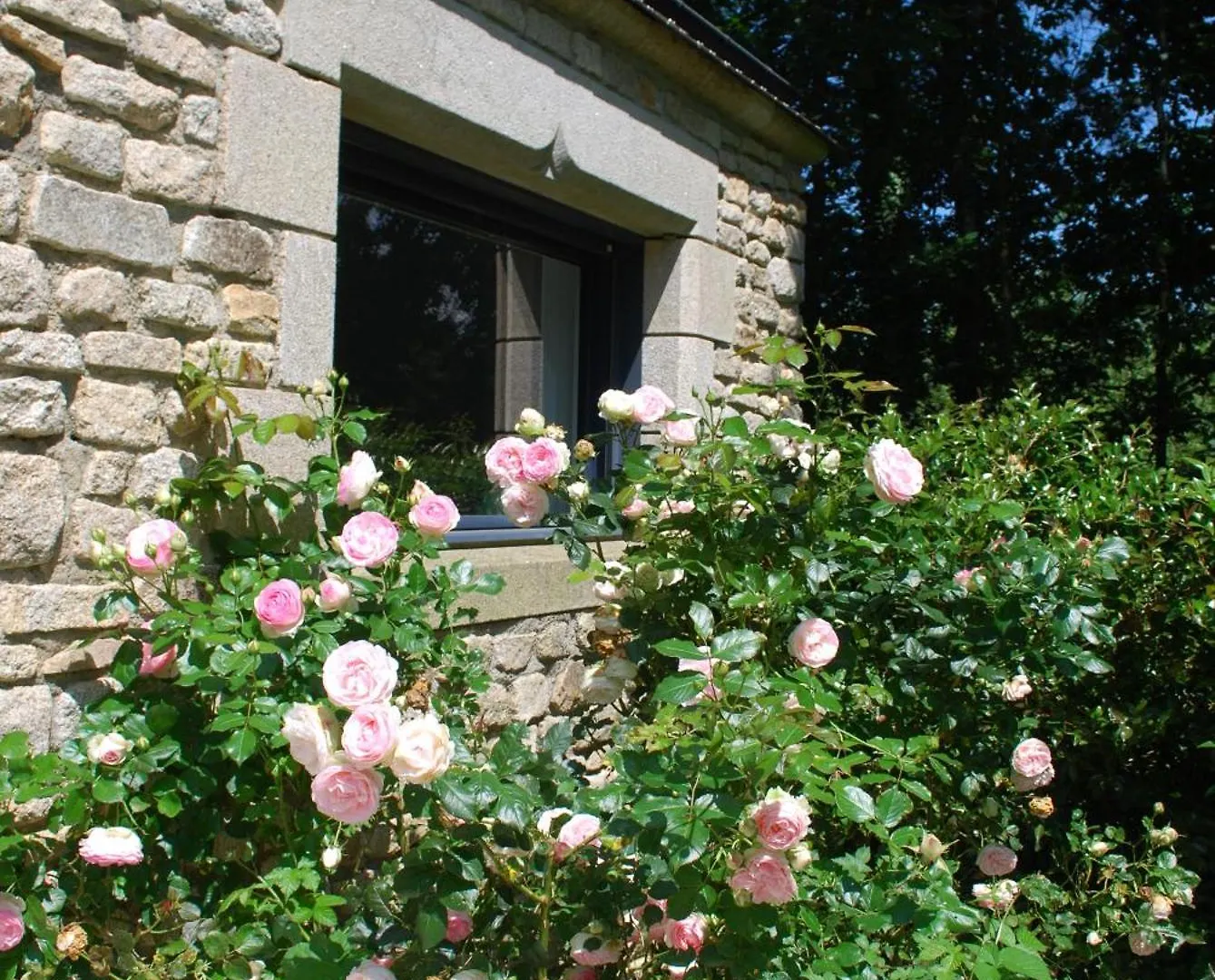 Ty Bodudal, Maison Cosy Et Independante Rieux  法国